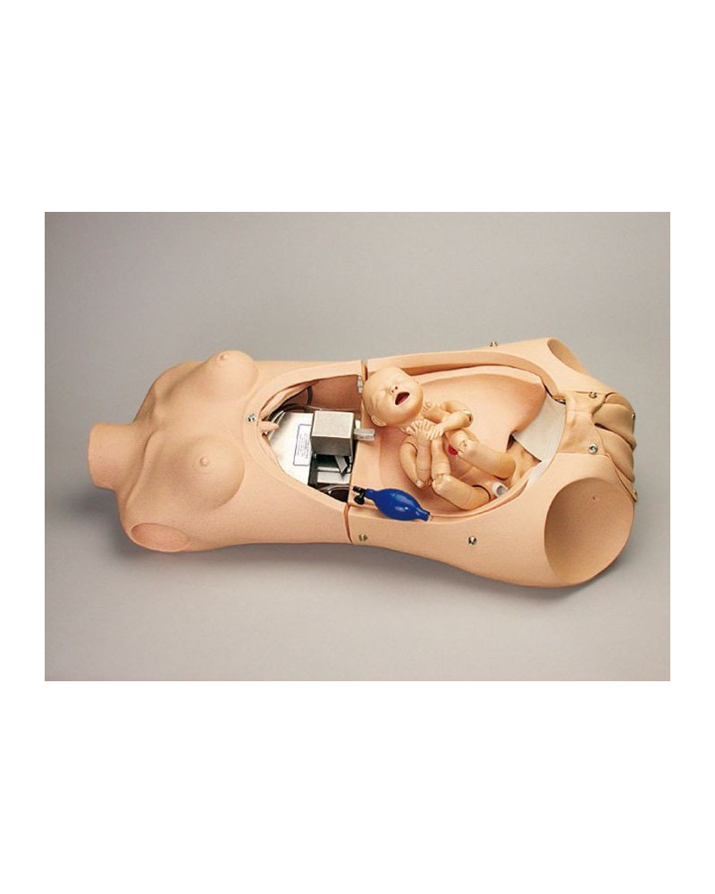 Torse d'Accouchement