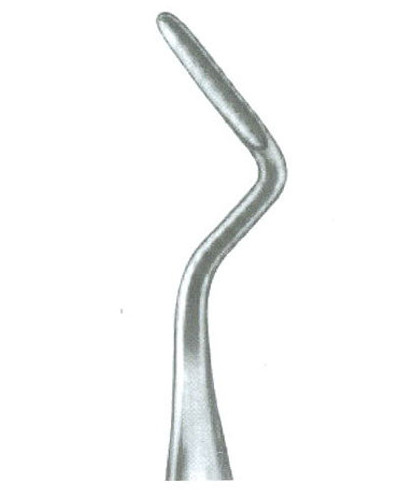 Elévateur apical droite