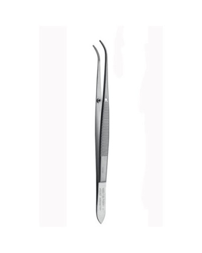 PRECELLE DE PERRY 13 CM