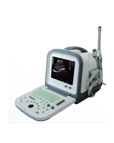 Echographe numérique portable, modèle HY5511
