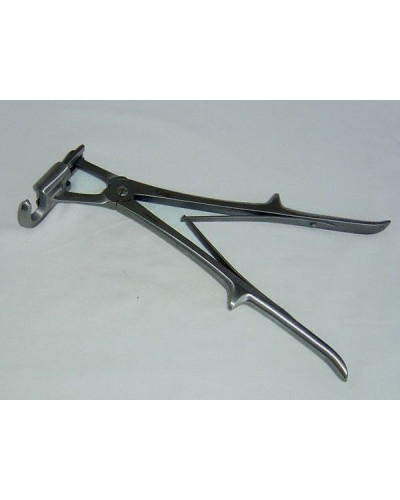 Cotostome de SAUERBRUCK