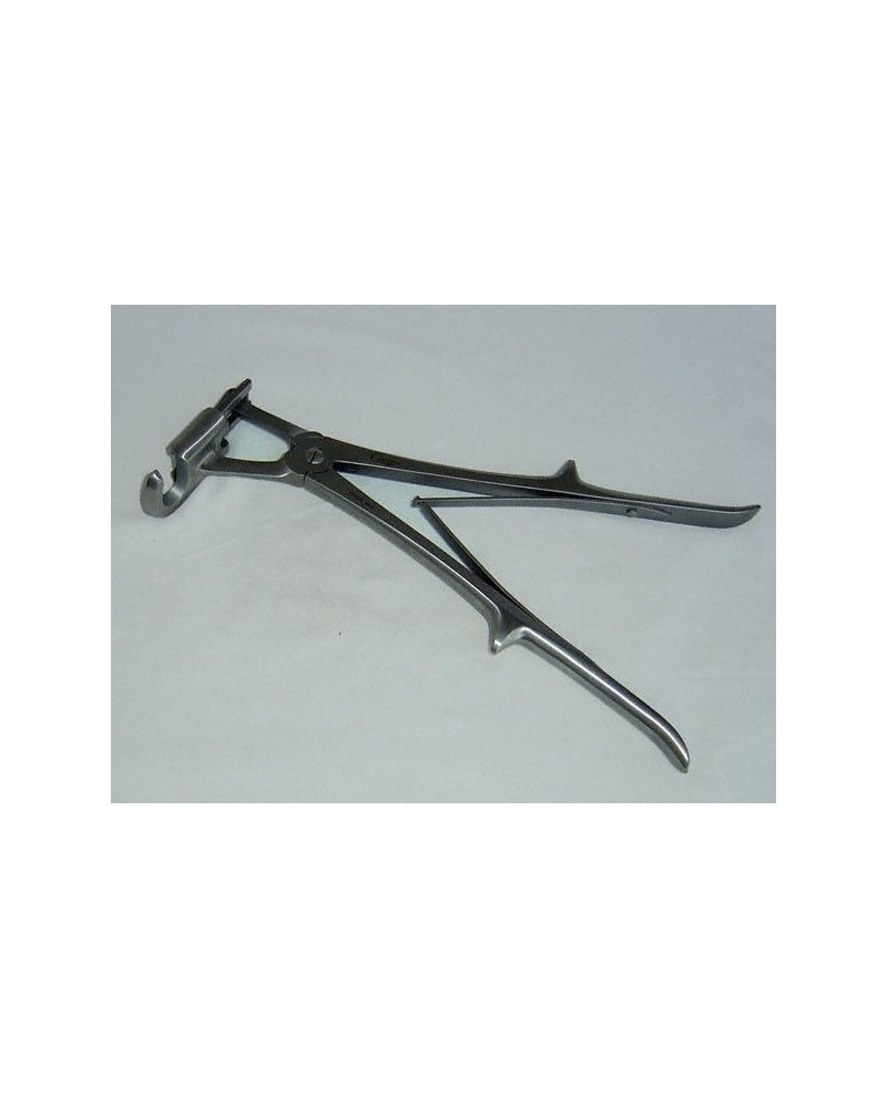 Cotostome de SAUERBRUCK Cotostome de SAUERBRUCK