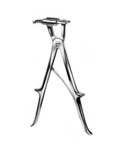 Cotostome de SAUERBRUCK Cotostome de SAUERBRUCK