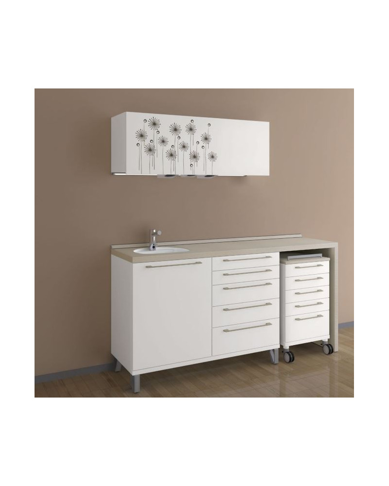 Mobilier pour cabinet dentaire modèle DECUS LAMINATE 3