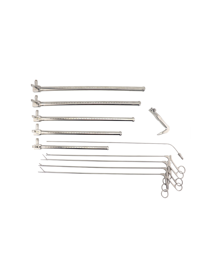 sophagoscope adulte