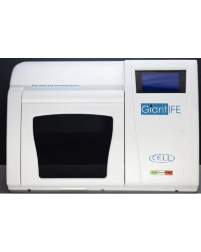 Système d'électrophorèse automatisé, Modèle Giant IFE