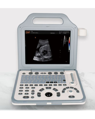 Echographe portable, Modèle N2 avec sonde