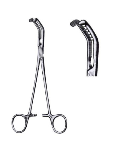 Pince clamp de Price-Thomas, à  bronches, 22 cm, griffes à  droite