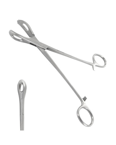 Pince à Champs Lane, 18 cm