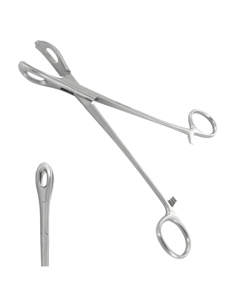 Pince à Champs Lane, 18 cm