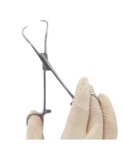 Pince à champs de Backhaus, 13 cm