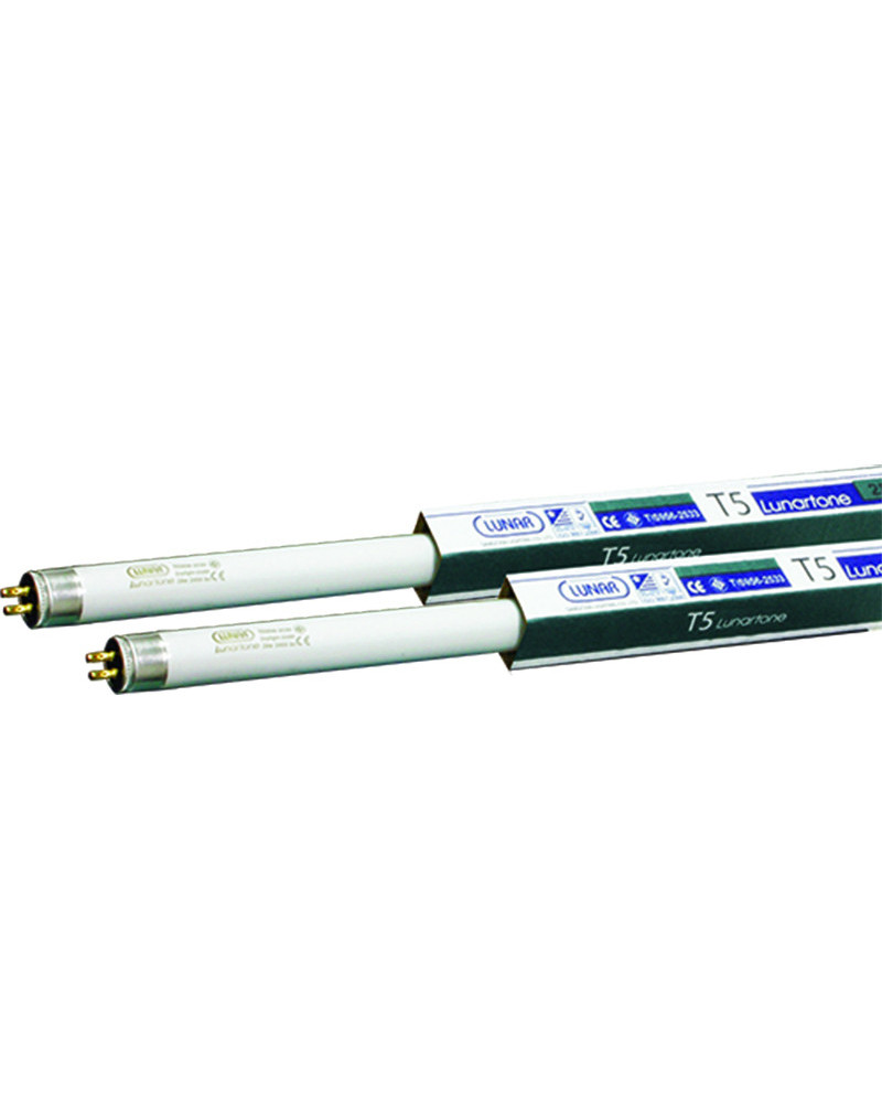 Tube fluorescent lunar