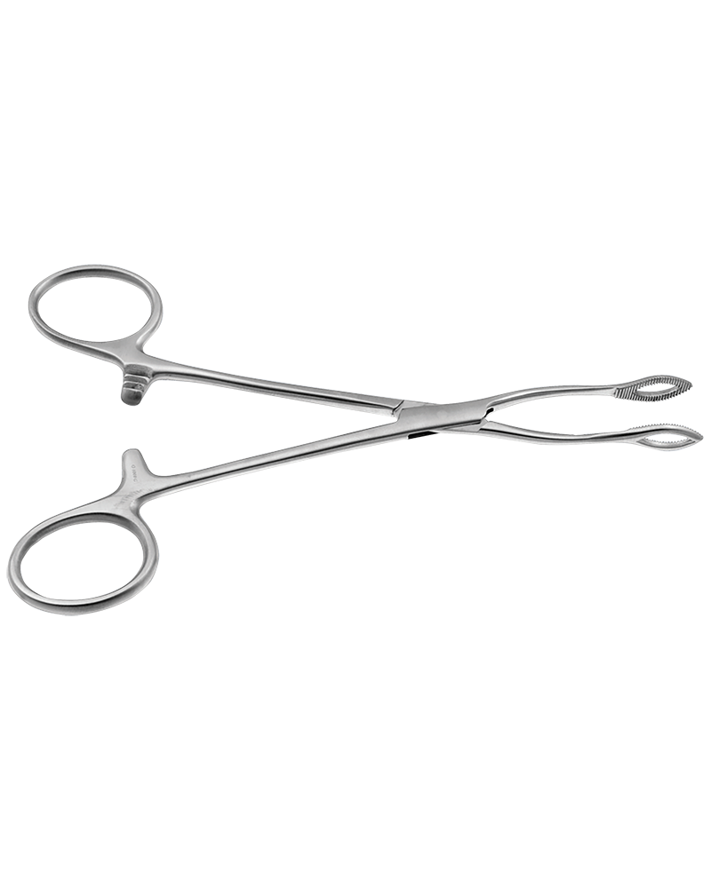 PINCE GREGOIRE EN LOSANGE 22cm