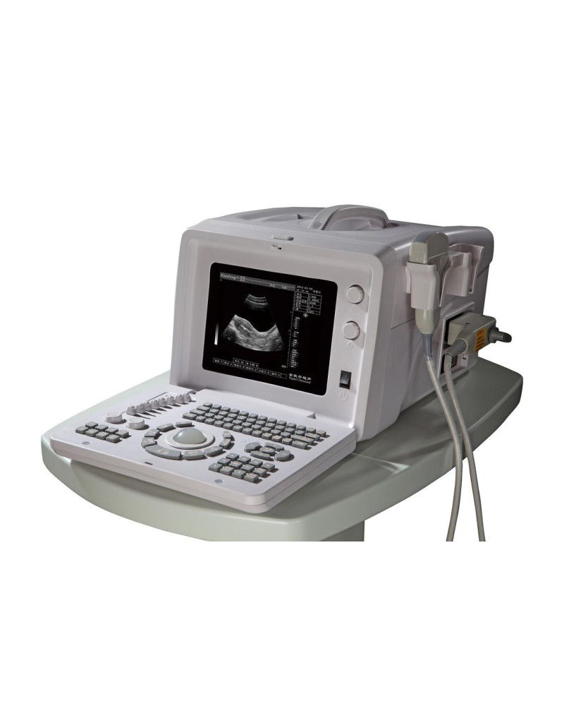 Echographe numérique portable Mindray, Modèle DP-2200Vet