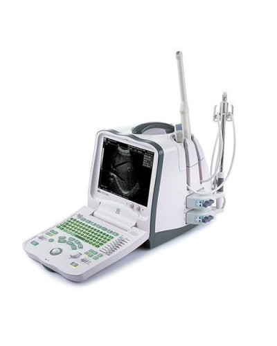 Echographe portable numérique  Mindray modèle DP-6900
