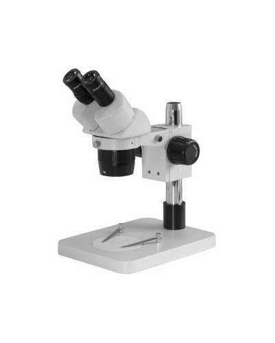 Microscope Stéreo