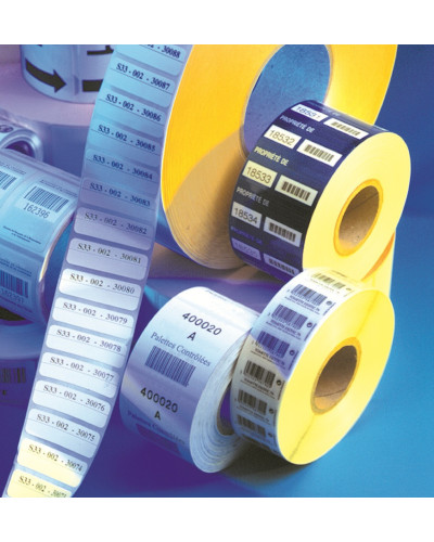 Etiquettes autocollantes permanentes (Lxl):24m x 20mm