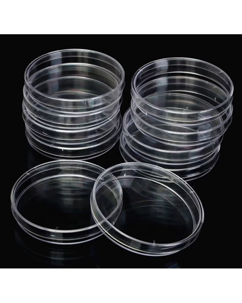 Boite de pétri pour culture cellulaire à  Ø: 60 mm