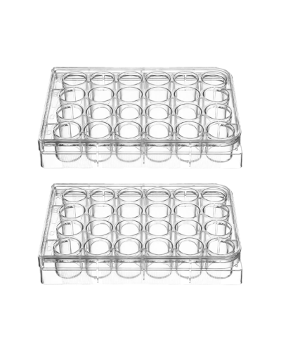 Plaques multiputs pour culture cellulaire, 24 puits