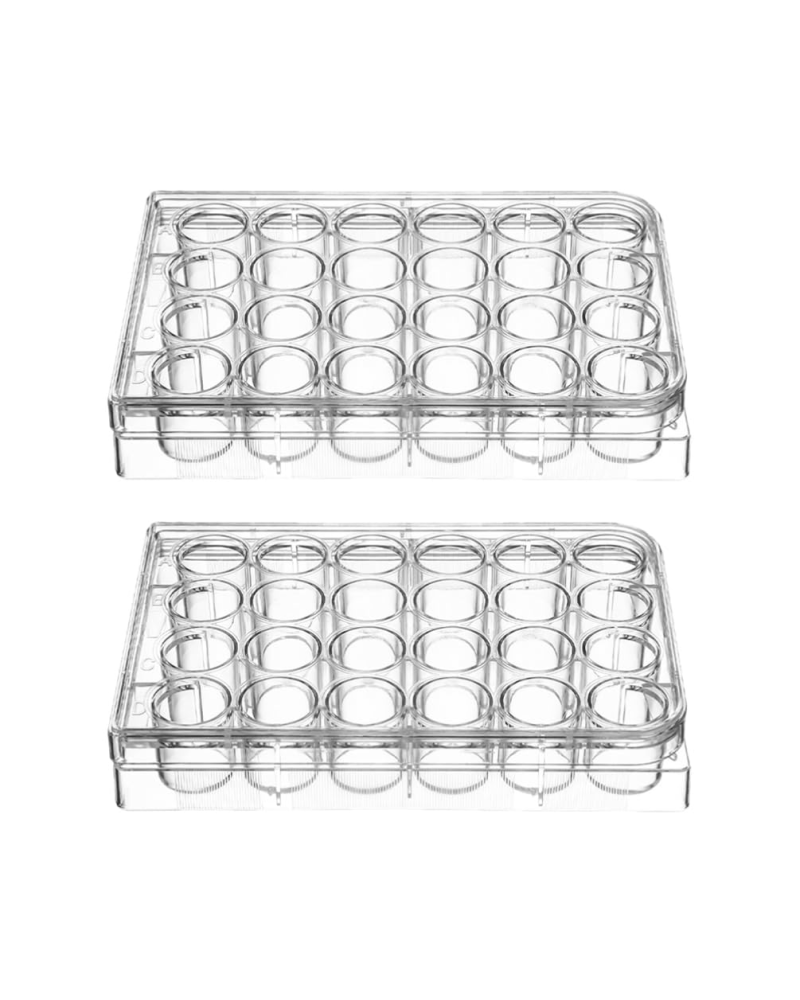 Plaques multiputs pour culture cellulaire, 24 puits