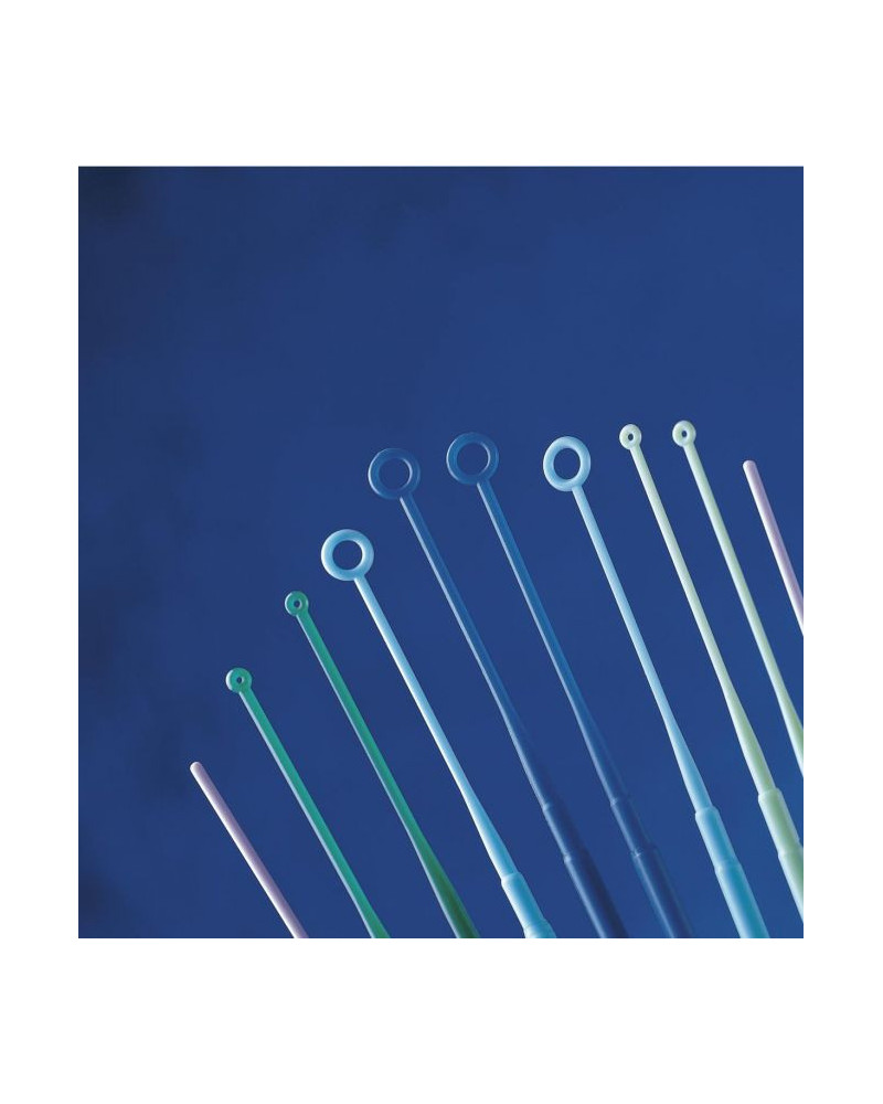 Öses à usage unique COPAN, rigide, vert foncé, barquette refermable/40