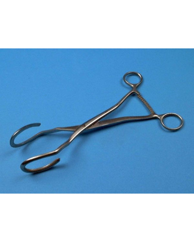 Hysterolabe de dartigues