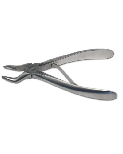 Davier dentaire, adulte, N°2