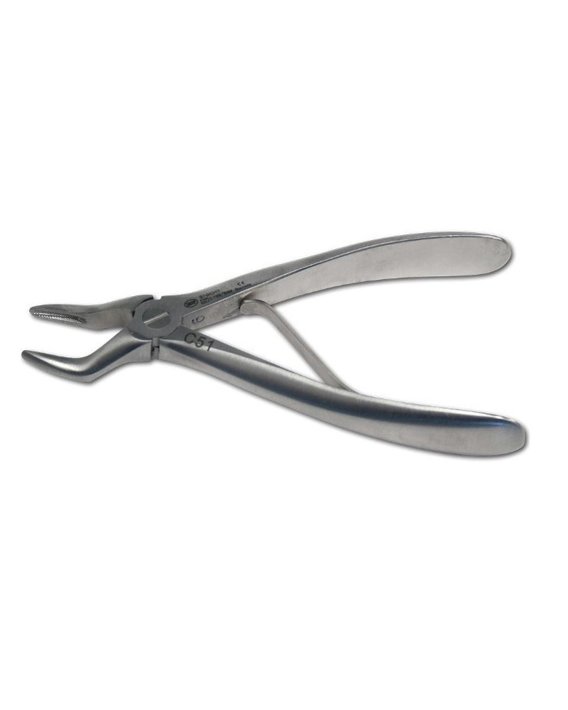 Davier dentaire, adulte, N°2