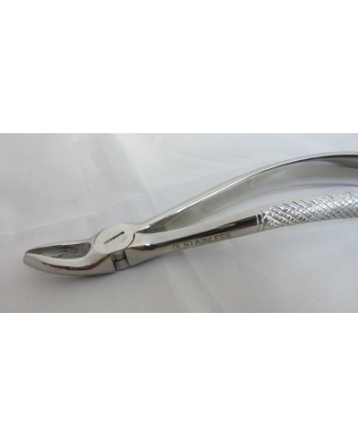 Davier dentaire, adulte, N°7