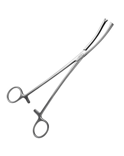 Pince de museux - courbe - 25 cm