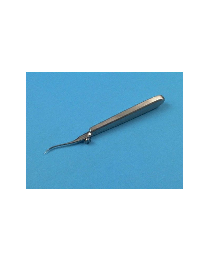 Aiguille intestinale courbe