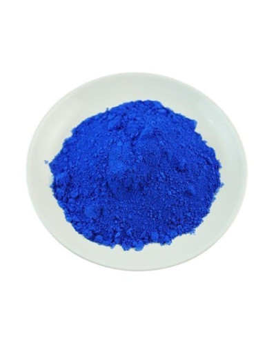 Bleu de toluidine pur, poudre, 25 g