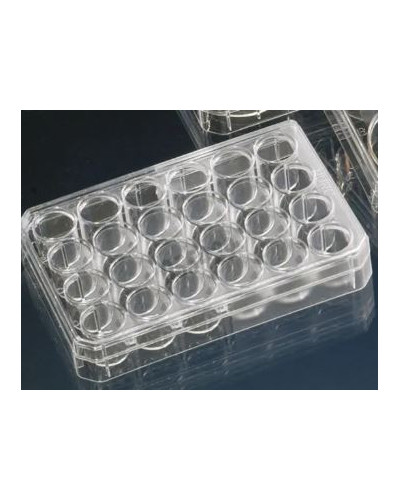 Plaques multiputs pour culture cellulaire, 24 puits