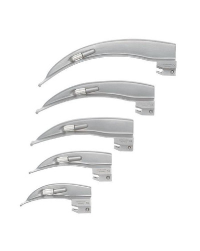 Lame courbe, Modèle MACINTOSH