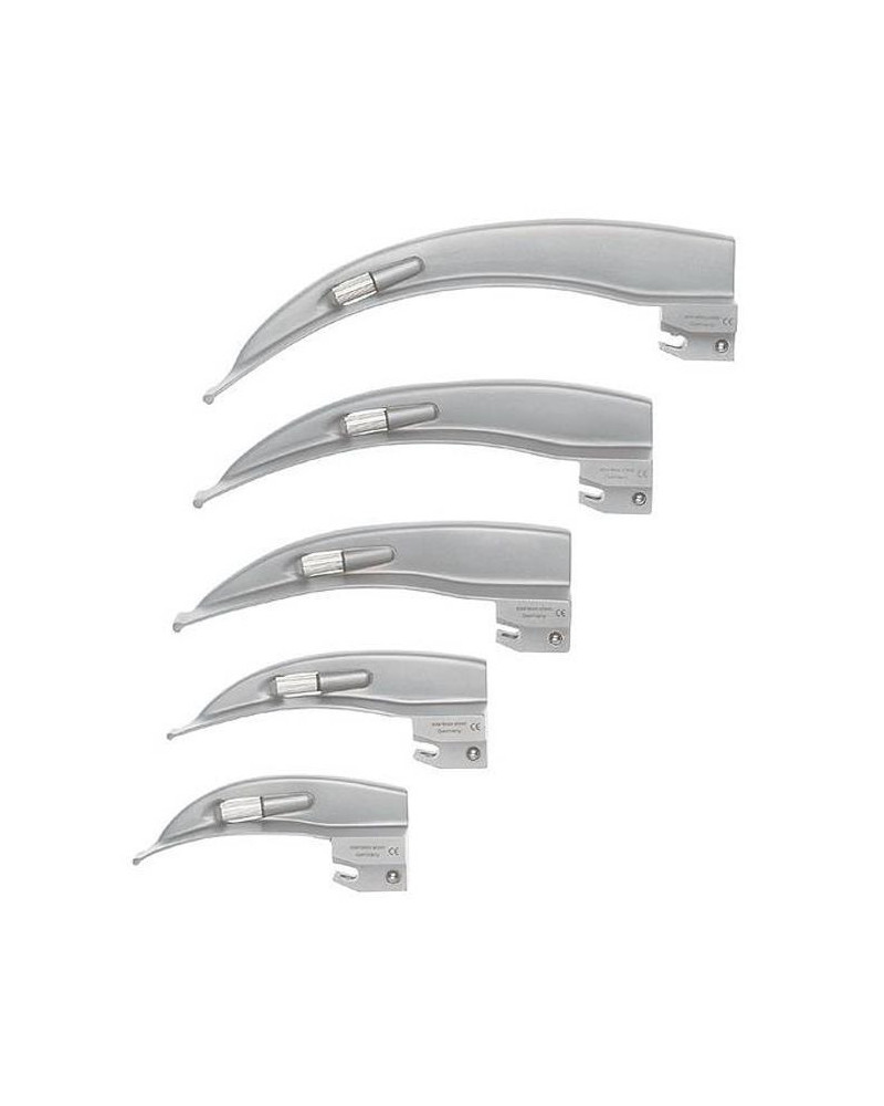 Lame courbe, Modèle MACINTOSH