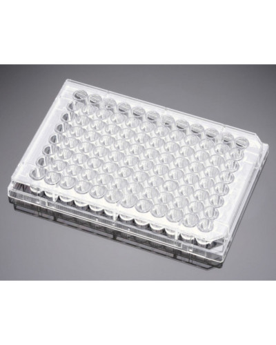 Plaque culture 12 puits tpp -Emballage sterile par 4