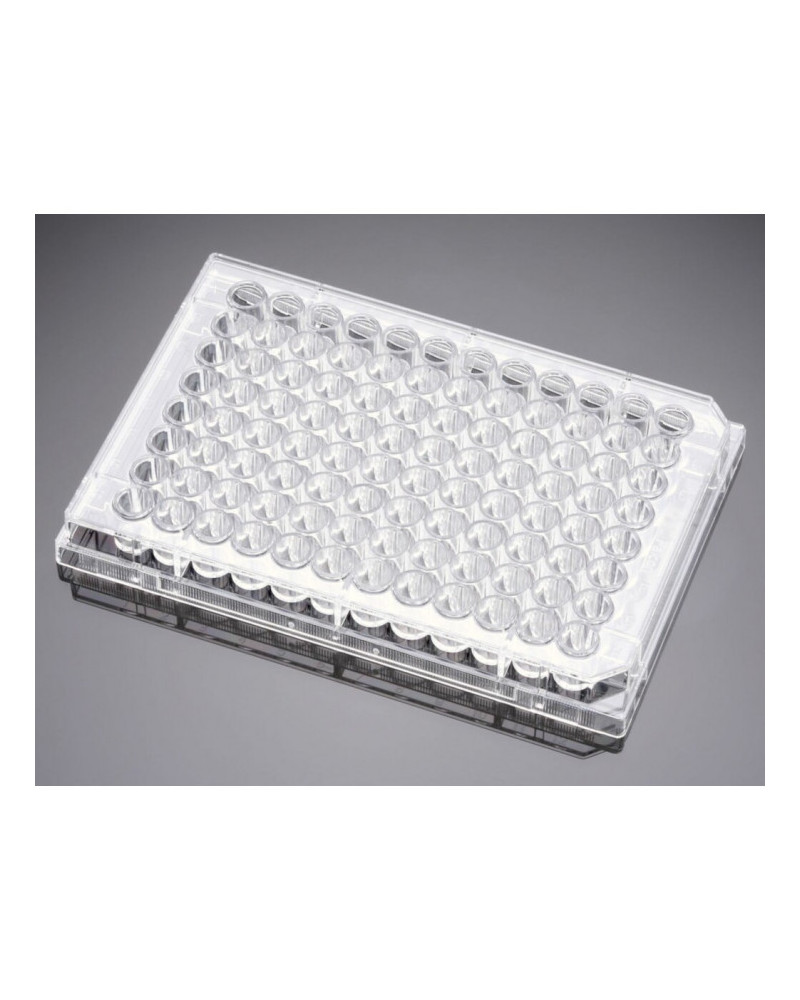 Plaque culture 12 puits tpp -Emballage sterile par 4