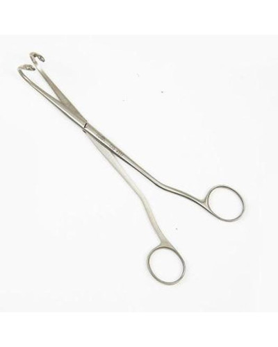 Pince randall mirizzi n° 6