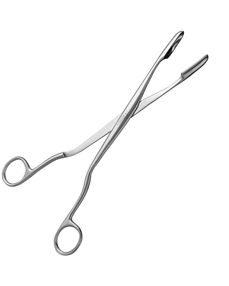 Pince de winter à faux germes