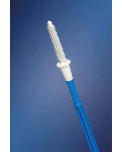 Rovers-endo-cervex brush