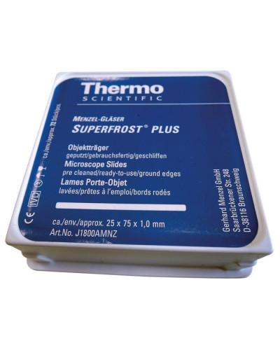 Lames superfrost plus
