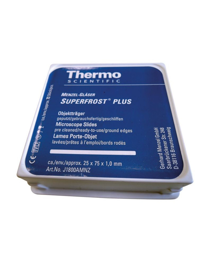 Lames superfrost plus