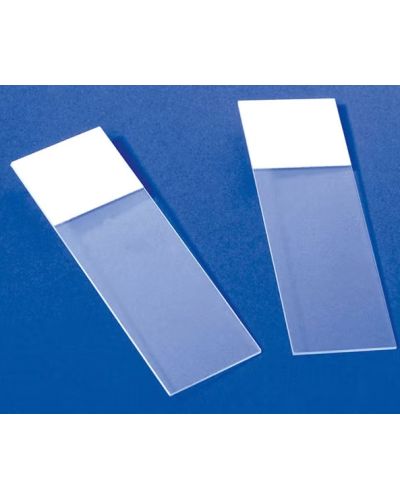 Lamelles pour techniques d'hybridation literslip, 28 ± 5µl
