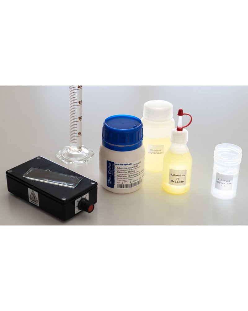 Albumine glycérinée, 500ml