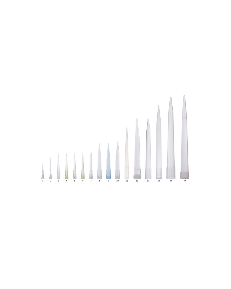 Cônes standards en vrac: 100 - 1250µl non gradué Cônes standards en vrac: 100 - 1250µl non gradué