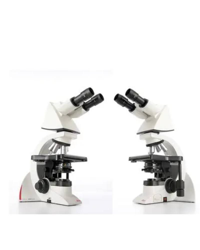 Microscope biologique binoculaire LEICA DM1000