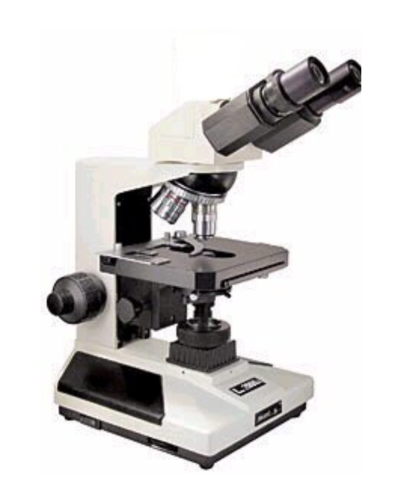 Microscope biologique binoculaire, modèle L3000A-HGB