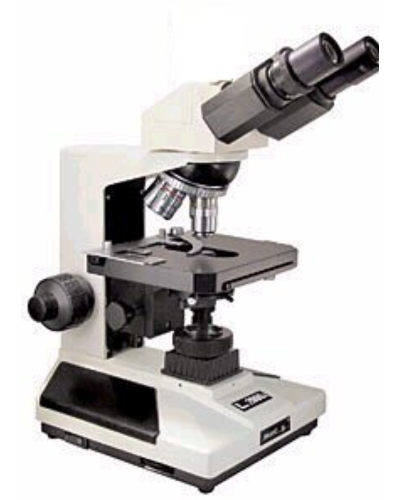 Microscope biologique binoculaire