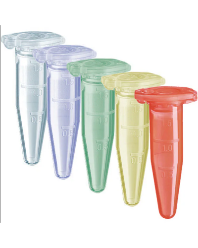Microtubes EPPENDORF, Safe Lock, 0,5 ml