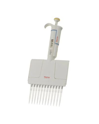 Finnpipette focus plus thermo 12 canaux